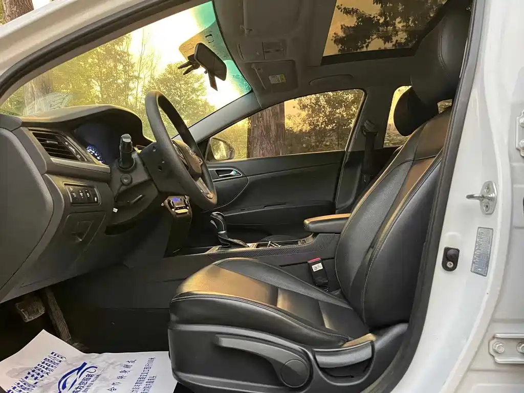 HYUNDAI NAME PICTURE