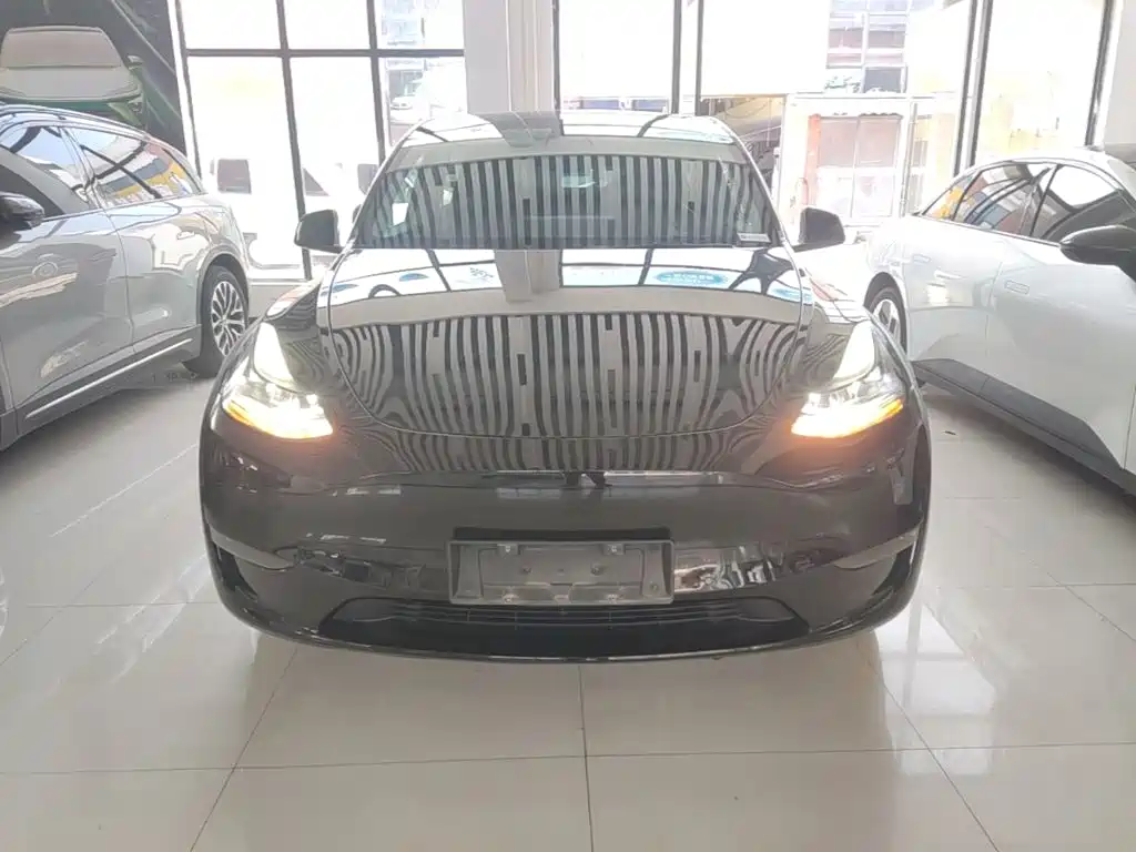 Tesla Model Y — миниатюра 3
