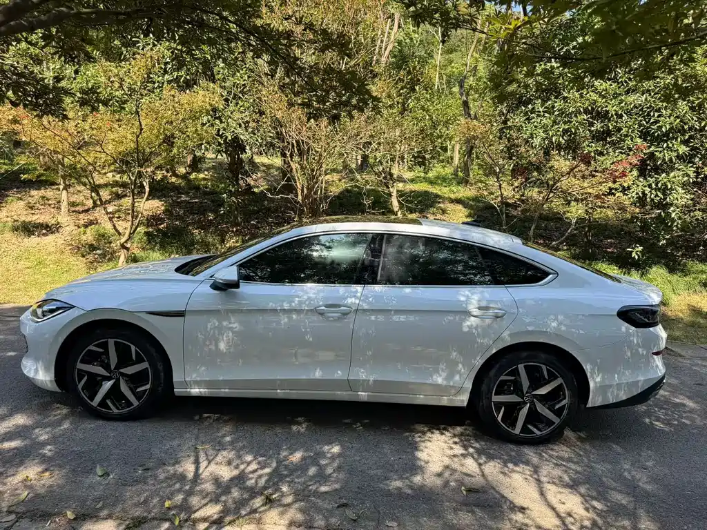 Volkswagen Lamando — миниатюра 5