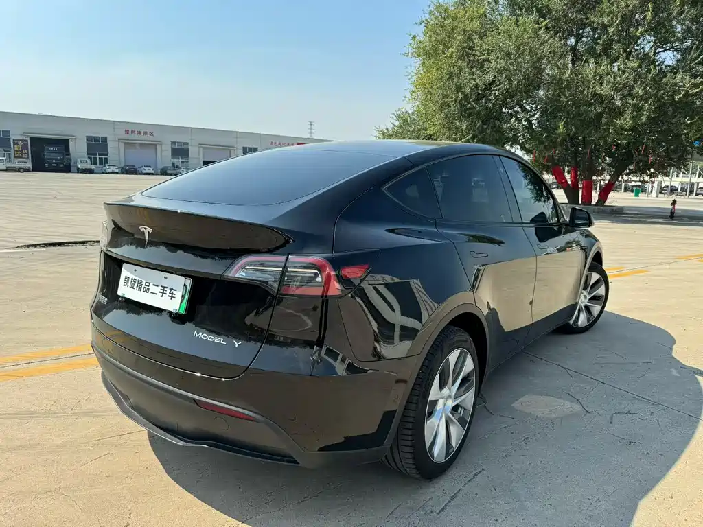 Tesla Model Y — миниатюра 4