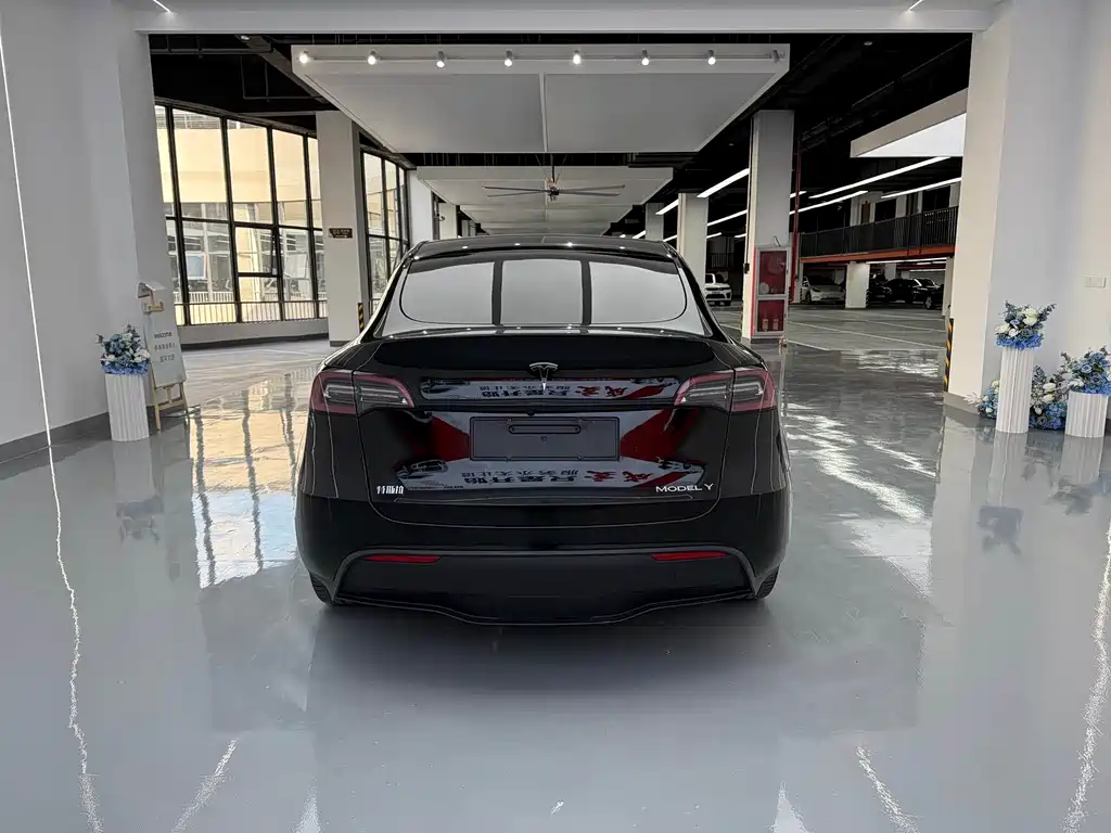 Tesla Model Y — миниатюра 13