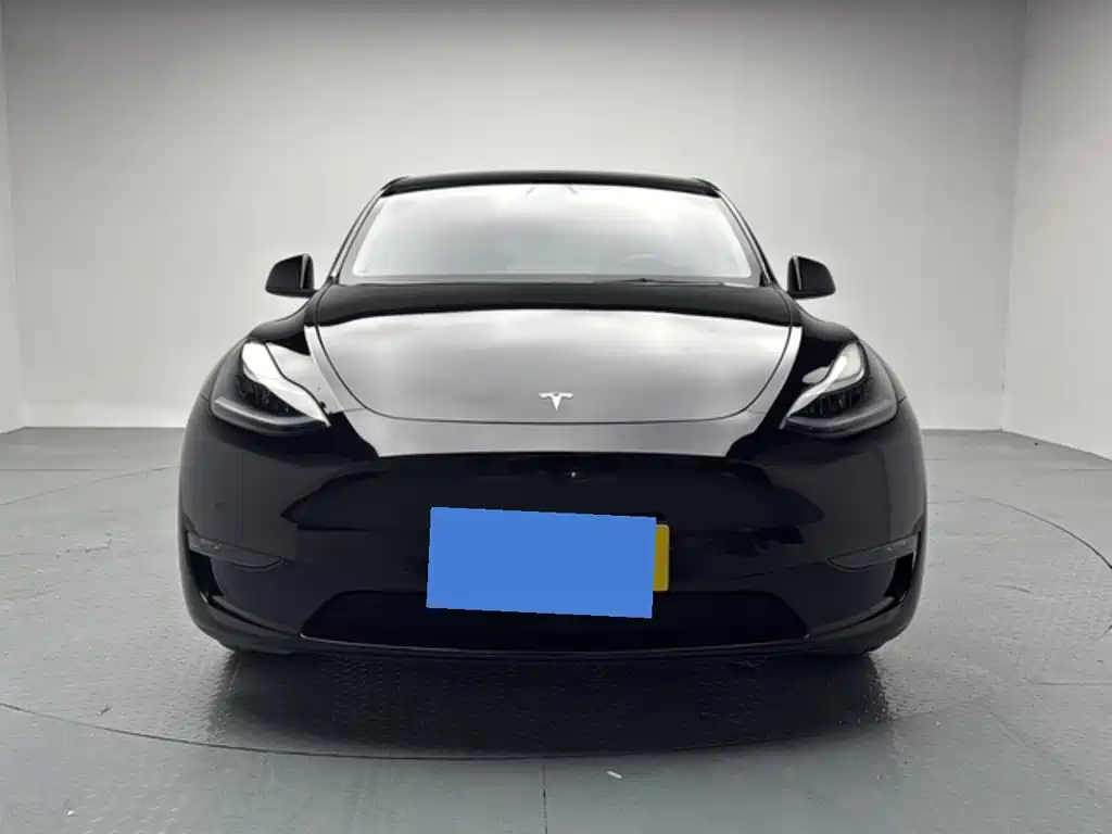 Tesla Model Y — миниатюра 2