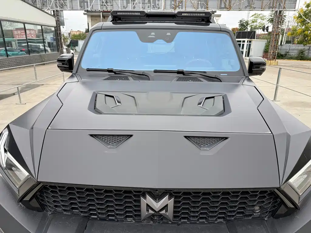 Mengshi Mengshi 917 — миниатюра 9