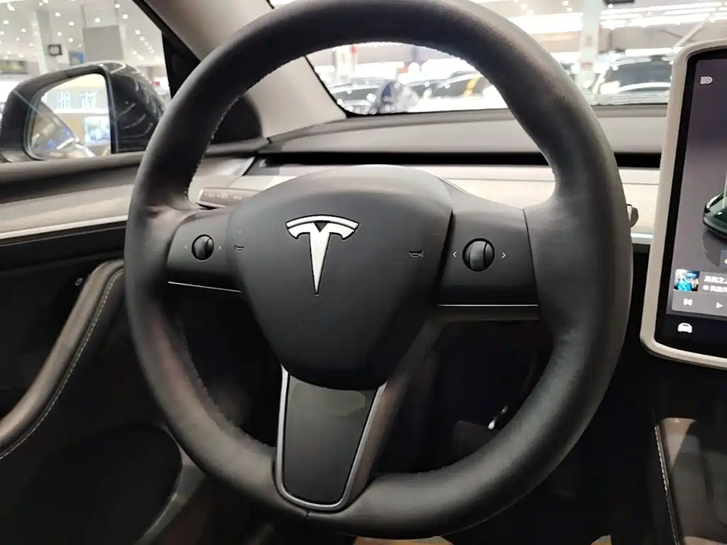 Tesla Model Y — миниатюра 11