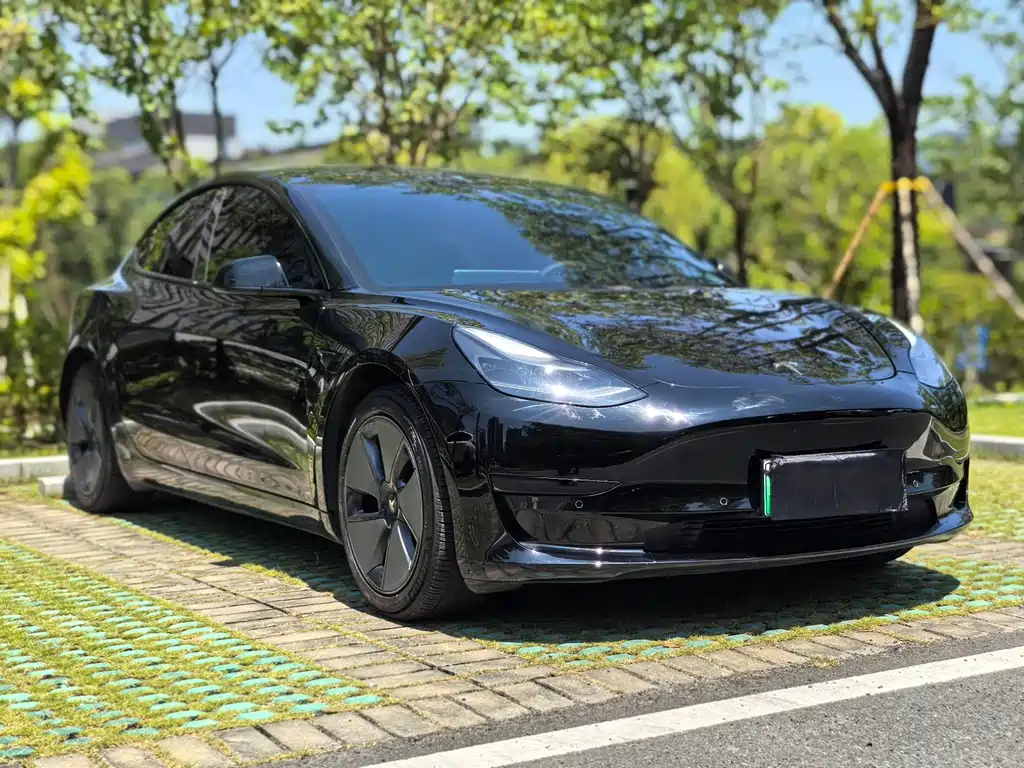 Tesla Model 3 — миниатюра 6