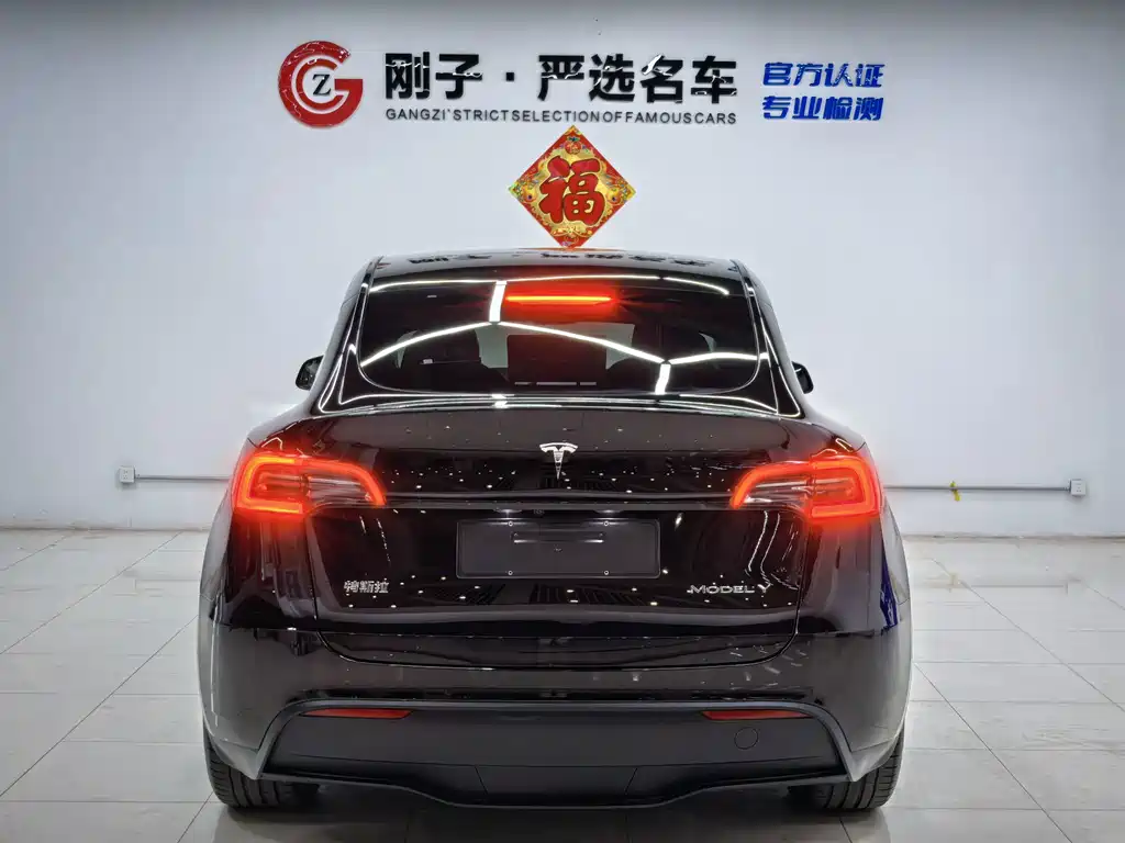 Tesla Model Y — миниатюра 5