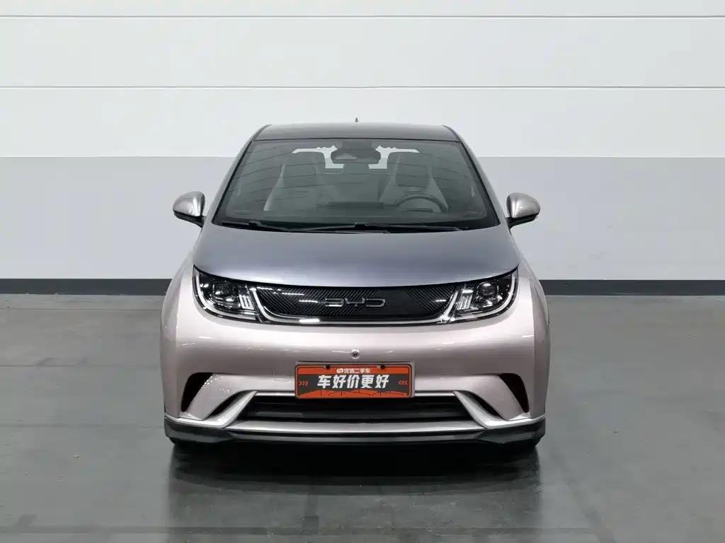 BYD Dolphin — миниатюра 3