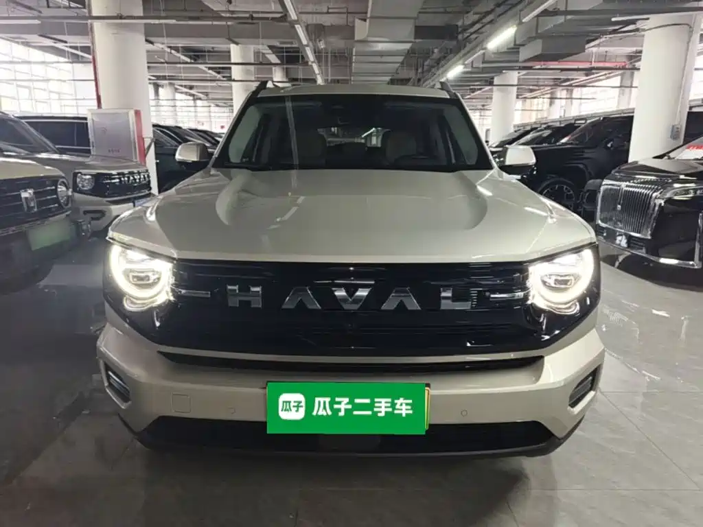 Haval Big Dog PLUS New Energy — миниатюра 3
