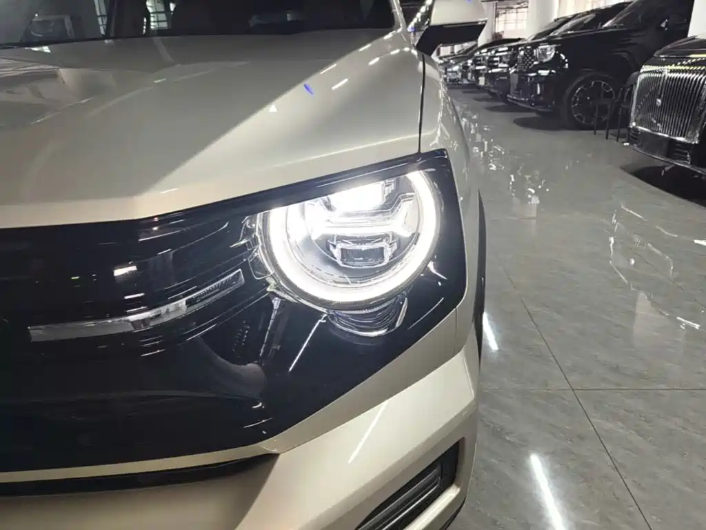Haval Big Dog PLUS New Energy — миниатюра 24