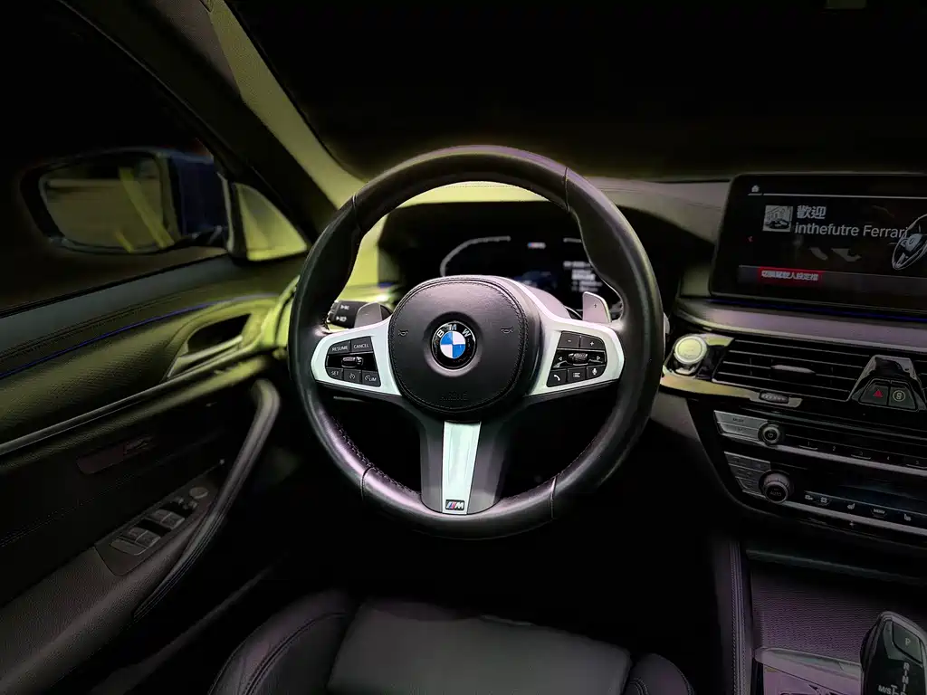 BMW 5 Series (Import) — миниатюра 7