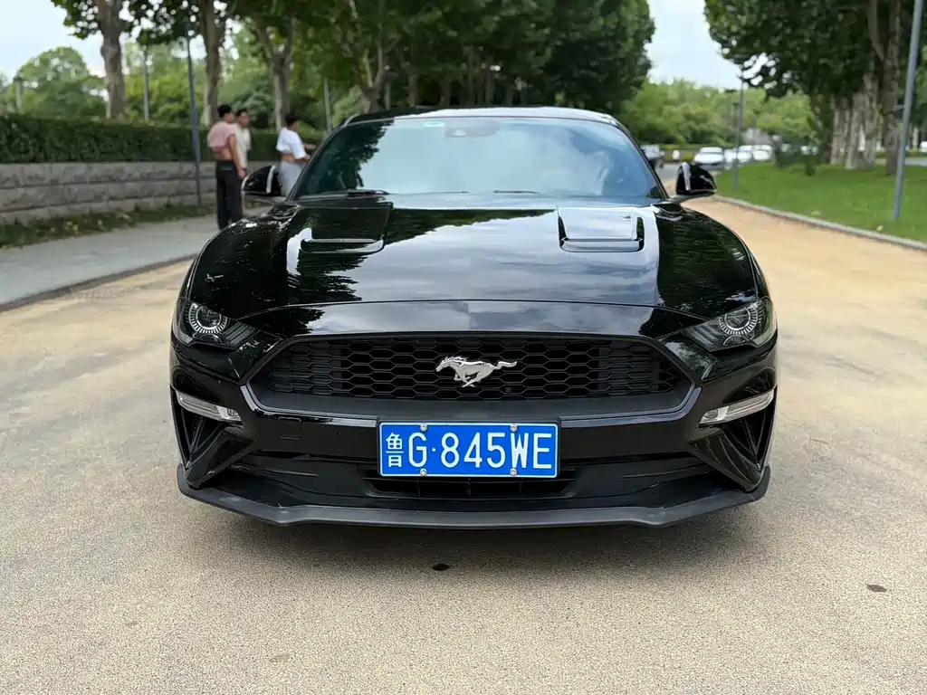 Ford Mustang — миниатюра 2