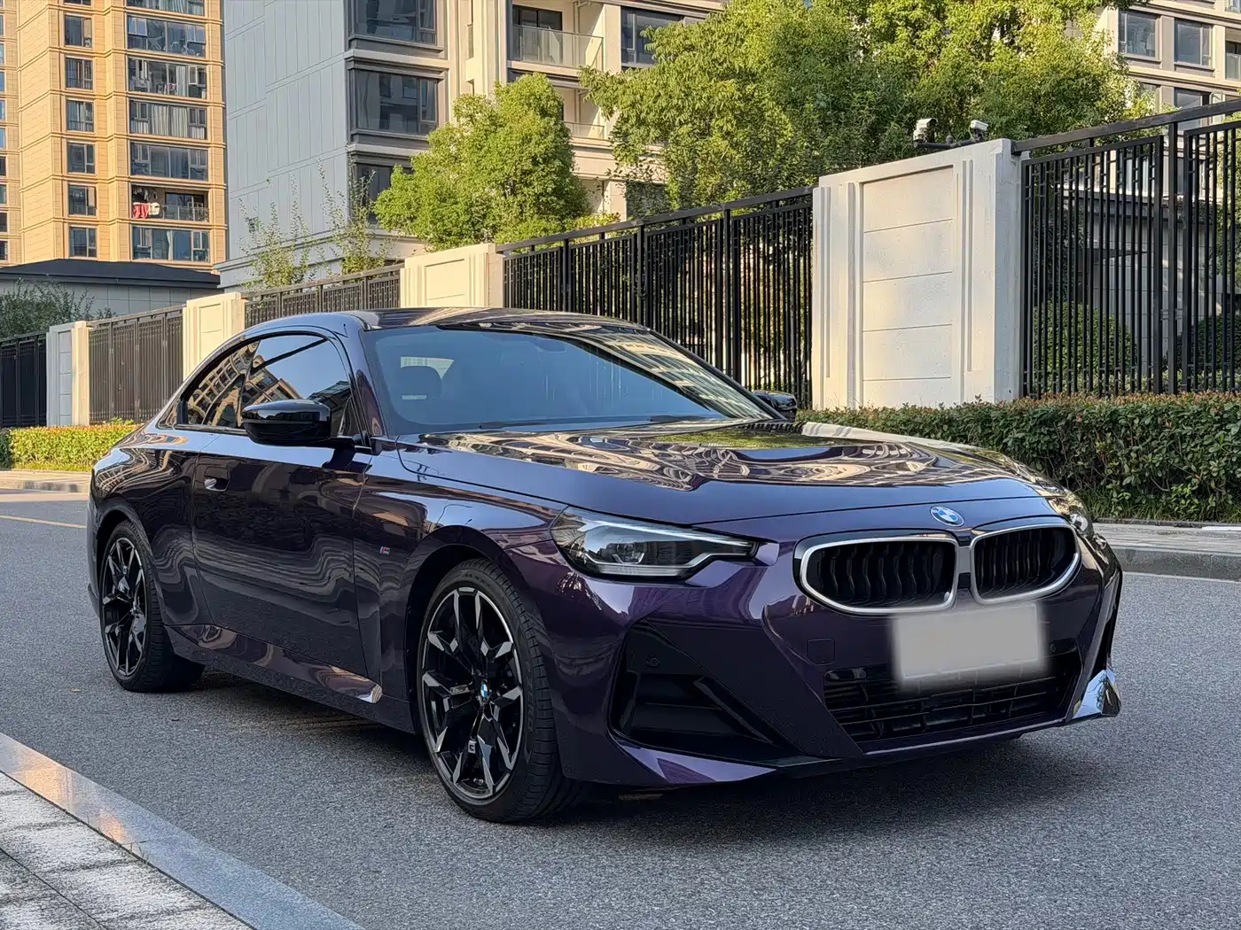 BMW 2 Series (Import)