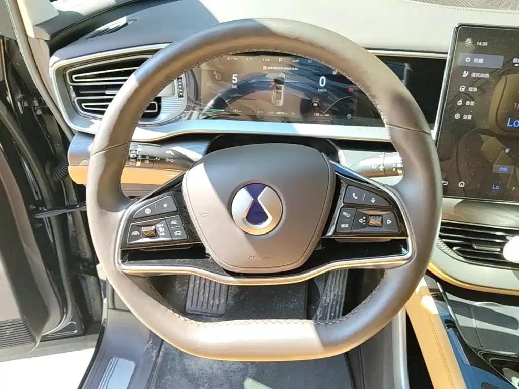 Denza Denza D9 — миниатюра 11