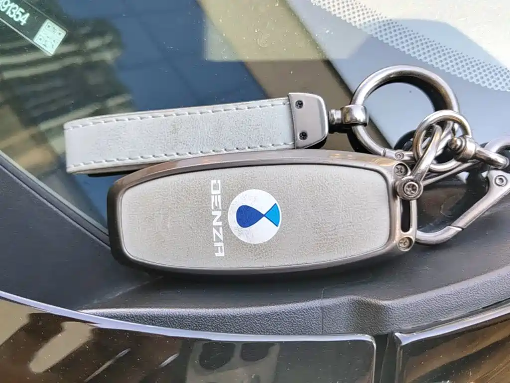 Denza Denza D9 — миниатюра 9