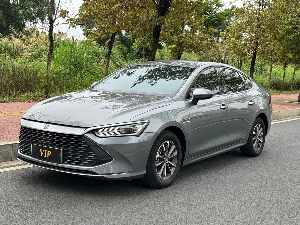 BYD Qin Plus PLUS 2024 DM-i 55KM Lead