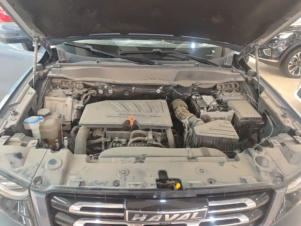 Haval Big Dog — миниатюра 20