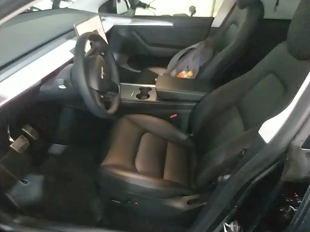 Tesla Model Y — миниатюра 15