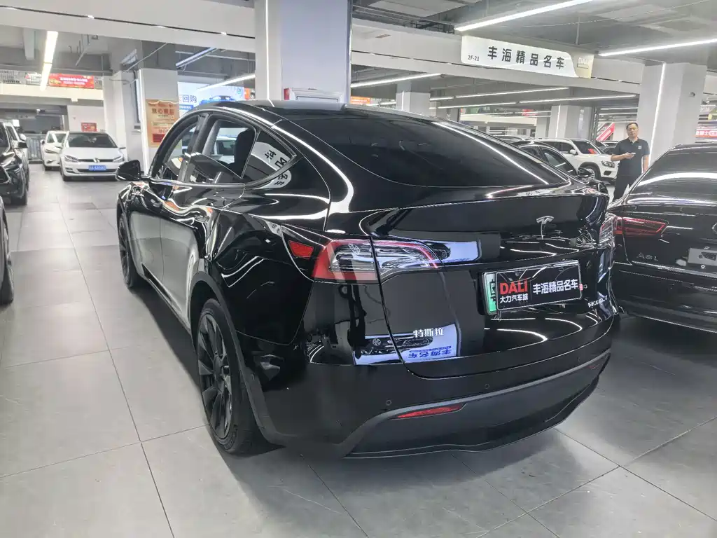 Tesla Model Y — миниатюра 12