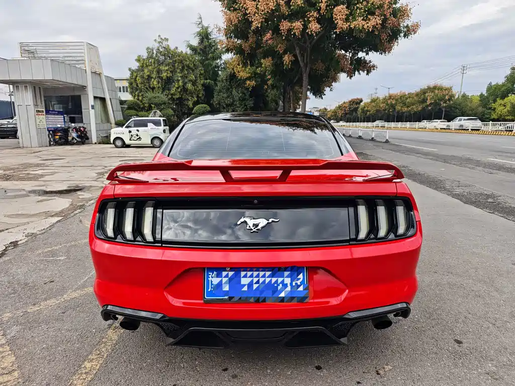 Ford Mustang — миниатюра 6