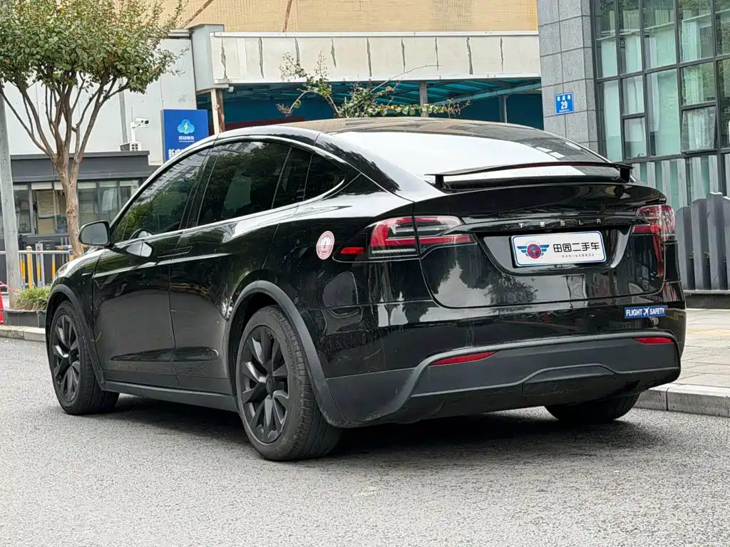 Tesla Model X — миниатюра 4