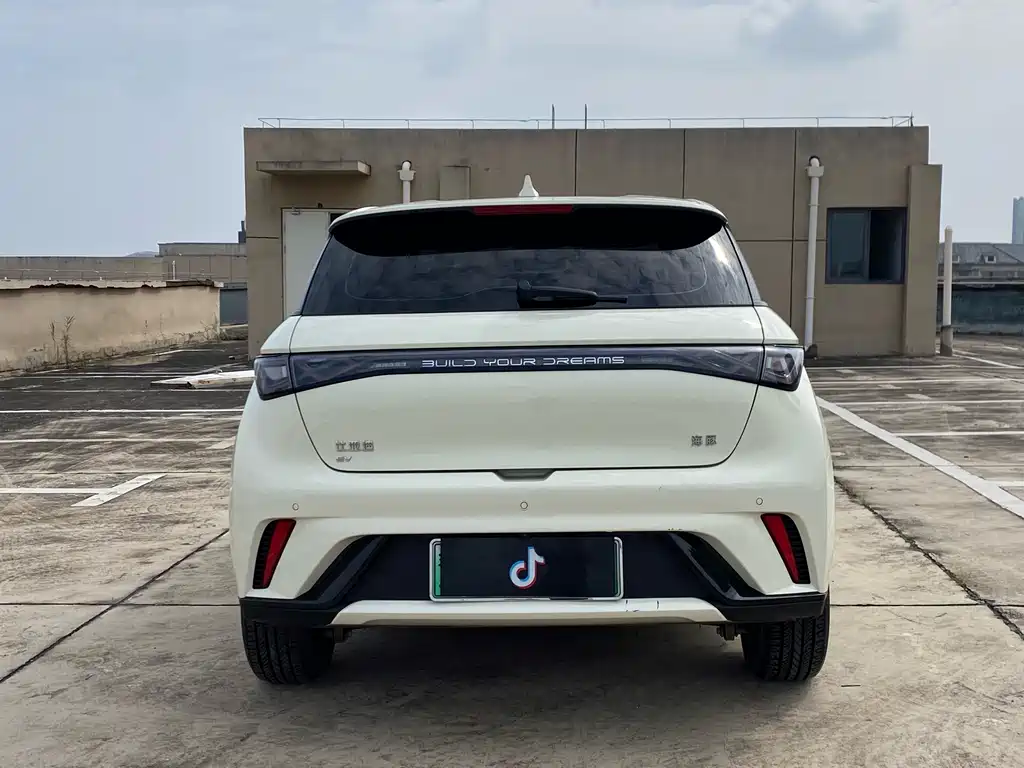 BYD Dolphin — миниатюра 5