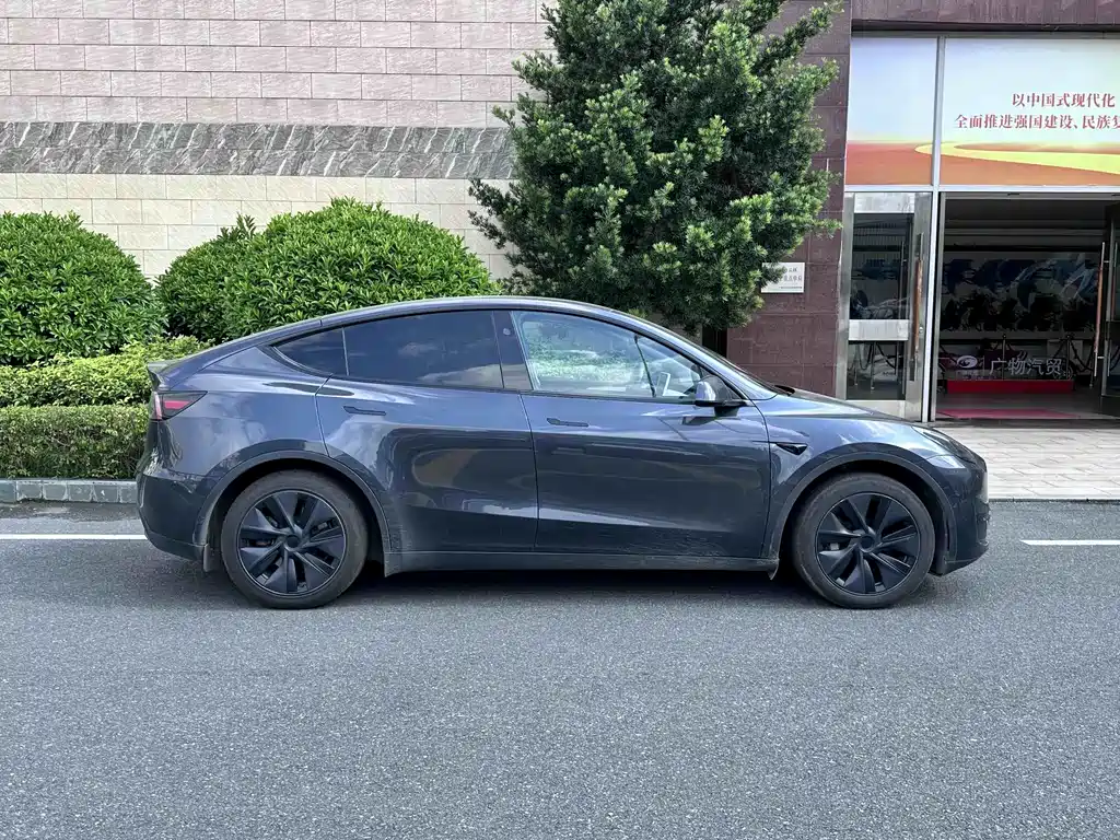 Tesla Model Y — миниатюра 4