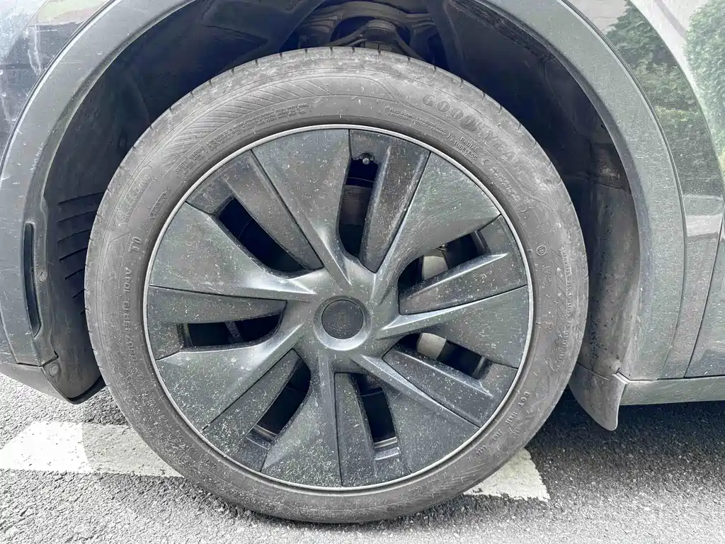 Tesla Model Y — миниатюра 19