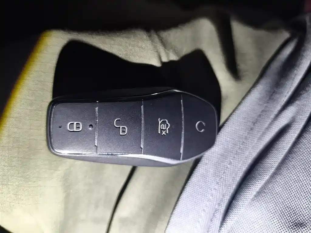 BYD Qin Plus PLUS 2023 Champion DM-i 120KM Lead