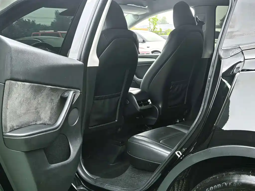 Tesla Model Y — миниатюра 5