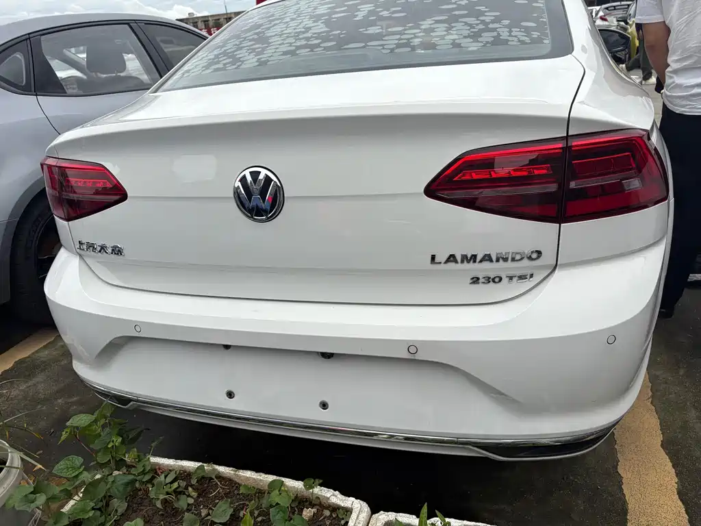 Volkswagen Lamando — миниатюра 8