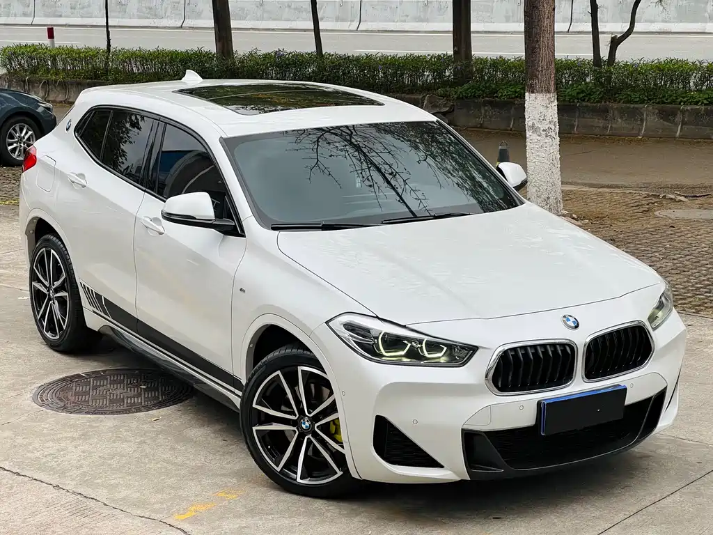 BMW X2 — миниатюра 3