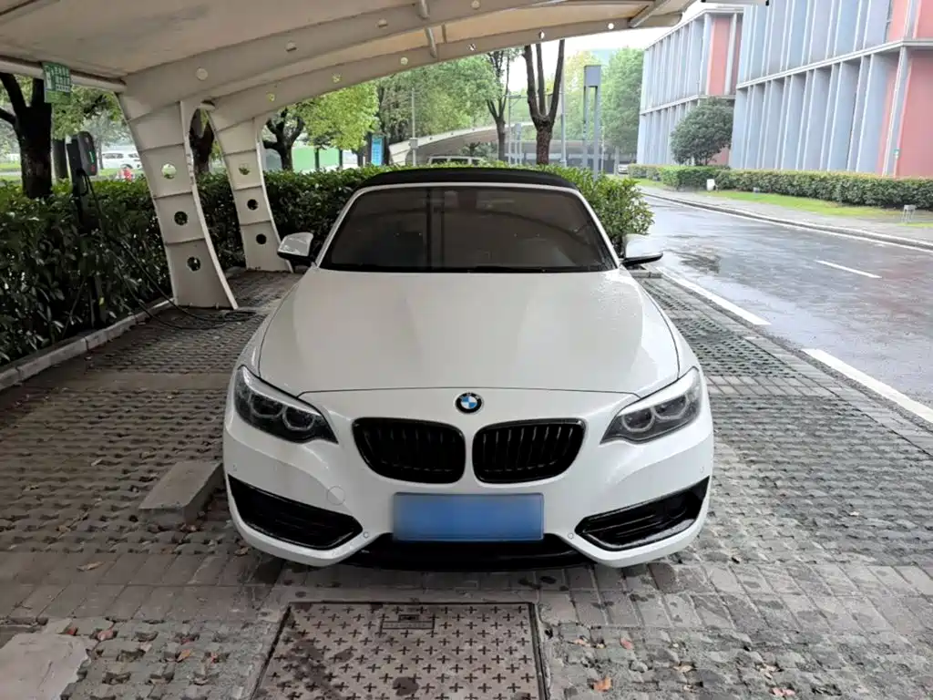 BMW 2 Series (Import) — миниатюра 3