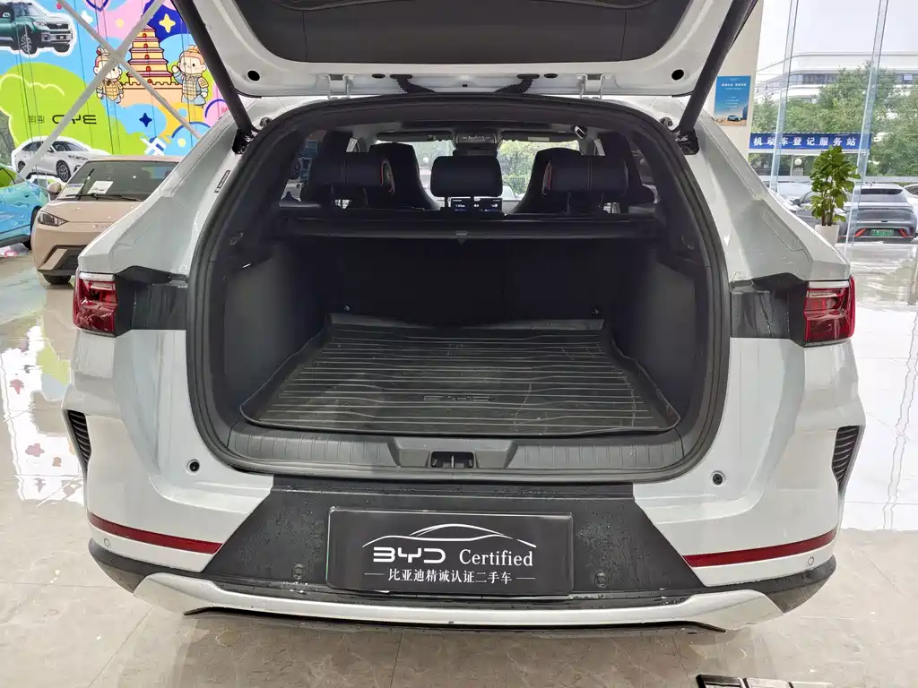 BYD PLUS New Energy — миниатюра 16