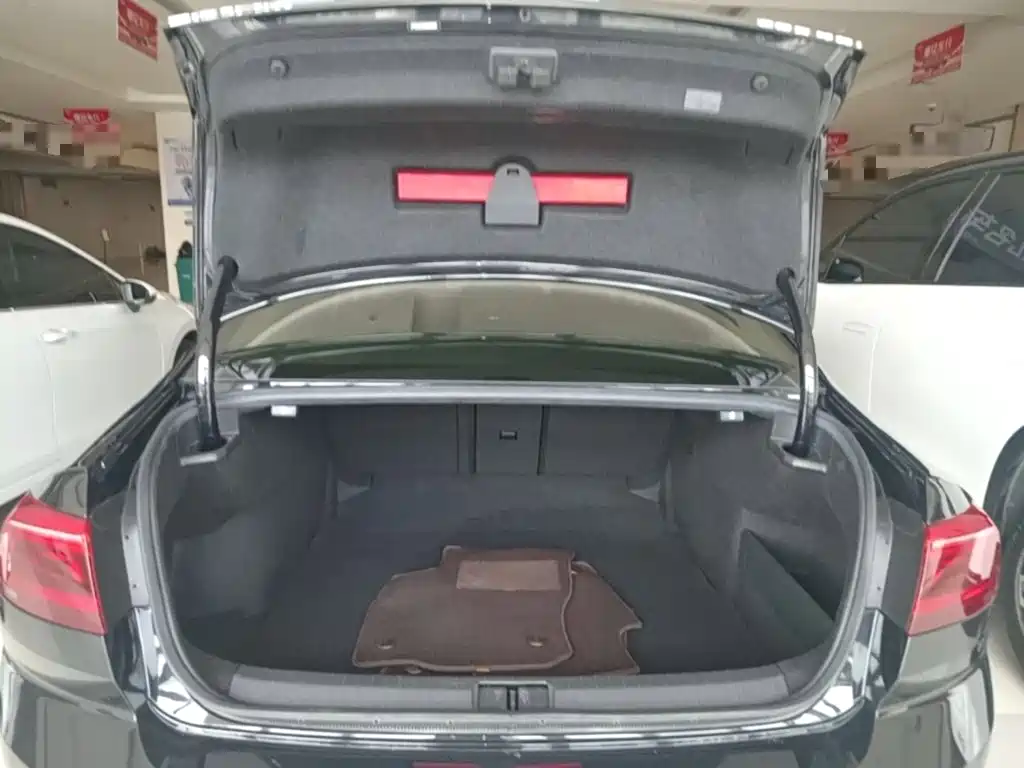 Volkswagen Magotan — миниатюра 19
