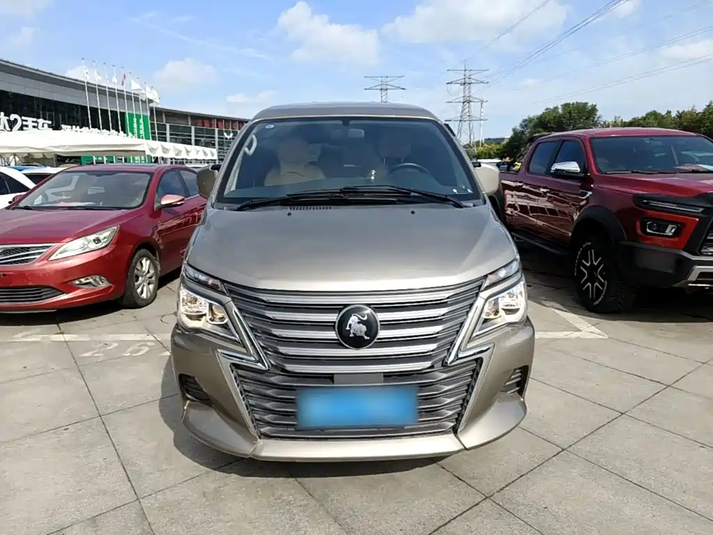 Fengxing Lingzhi — миниатюра 3