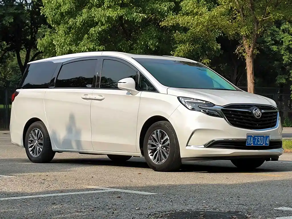 Buick GL8 — миниатюра 3