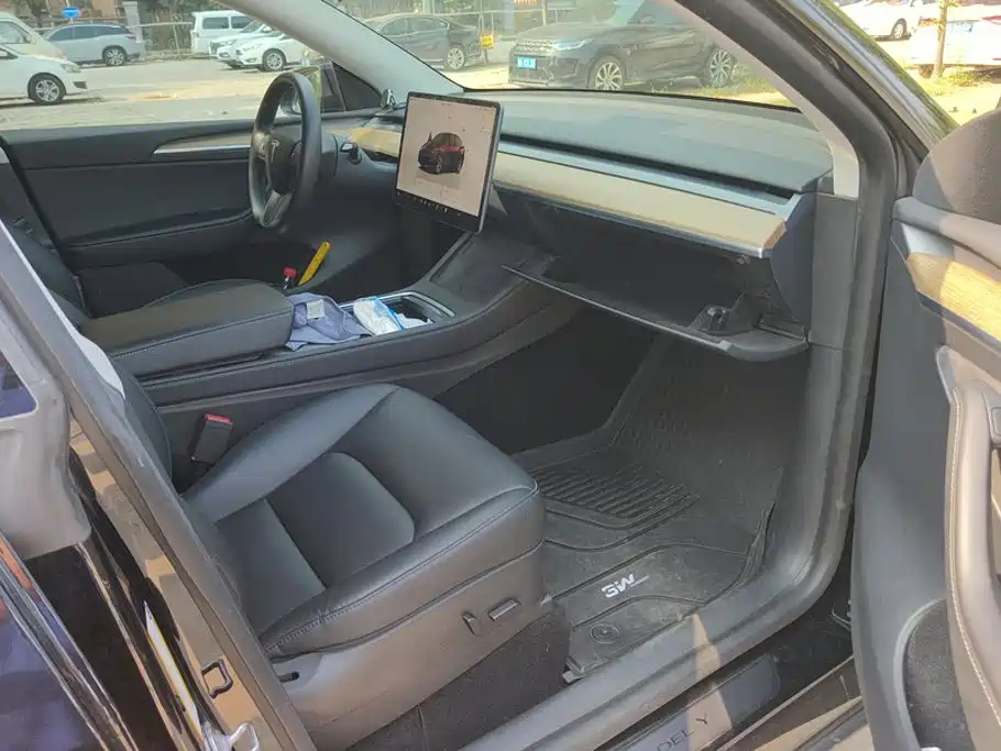 Tesla Model Y — миниатюра 8