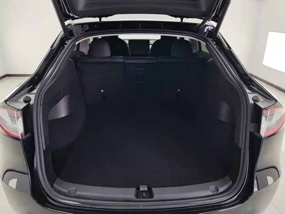 Tesla Model Y — миниатюра 4