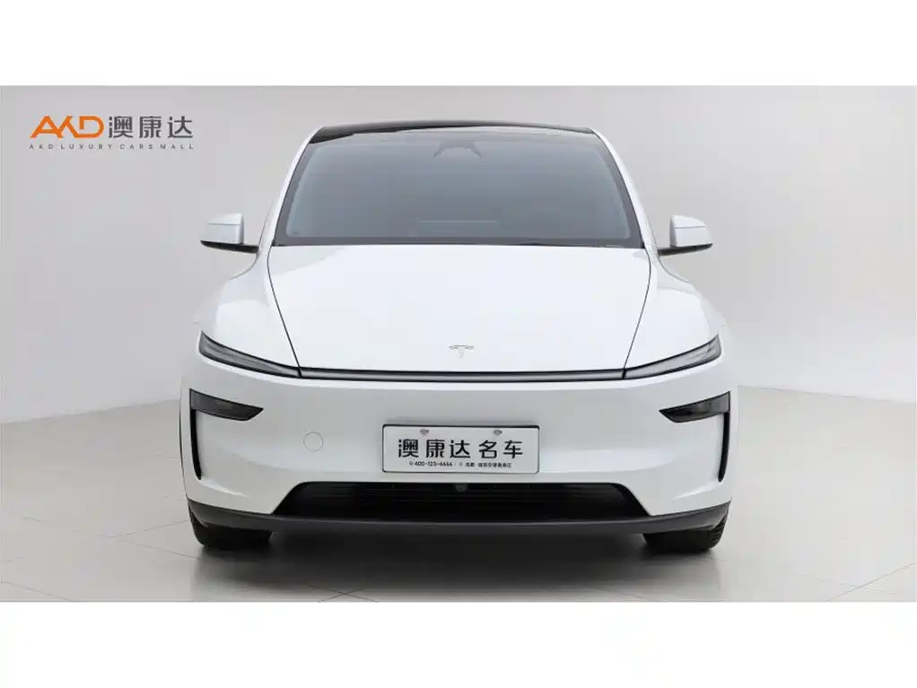 Tesla Model Y — миниатюра 2
