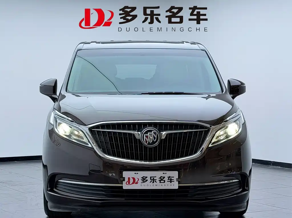 Buick GL8 — миниатюра 2
