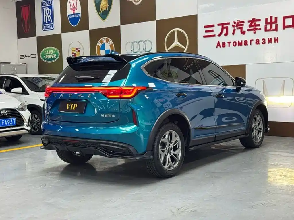 Haval Chitu — миниатюра 6
