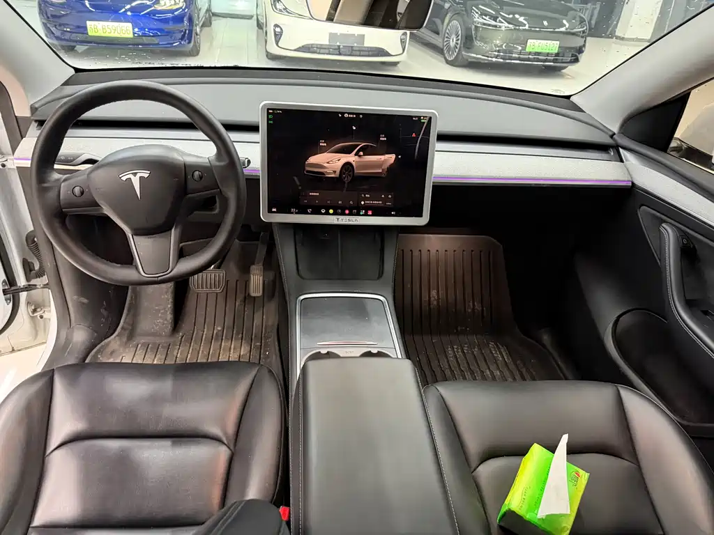 Tesla Model Y — миниатюра 6