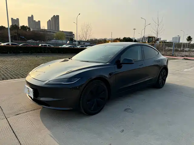 TESLA MODEL 3 2025