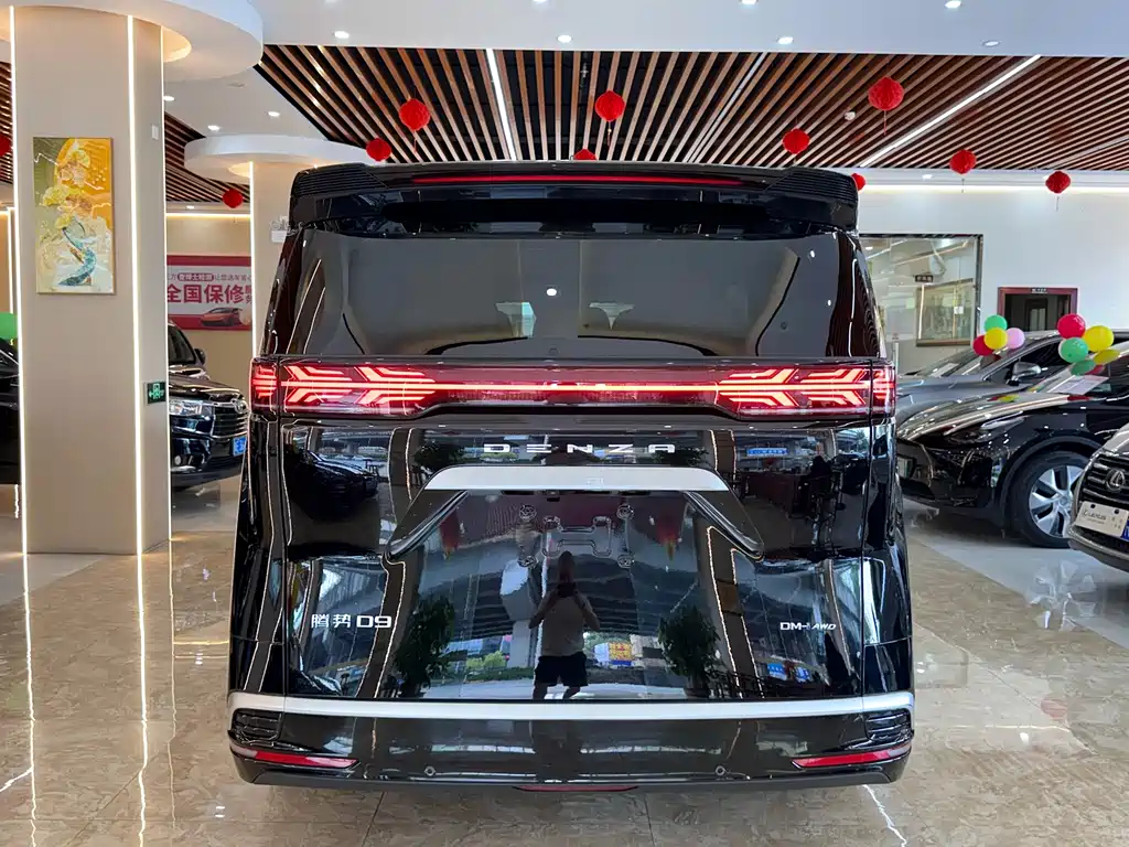 Denza Denza D9 — миниатюра 5