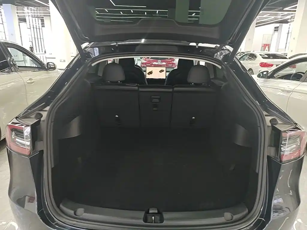 Tesla Model Y — миниатюра 19