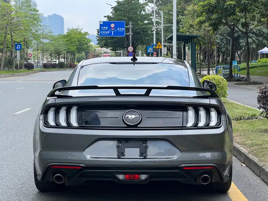 Ford Mustang — миниатюра 18