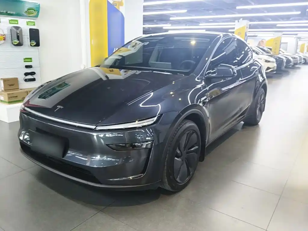 Tesla Model Y — миниатюра 2