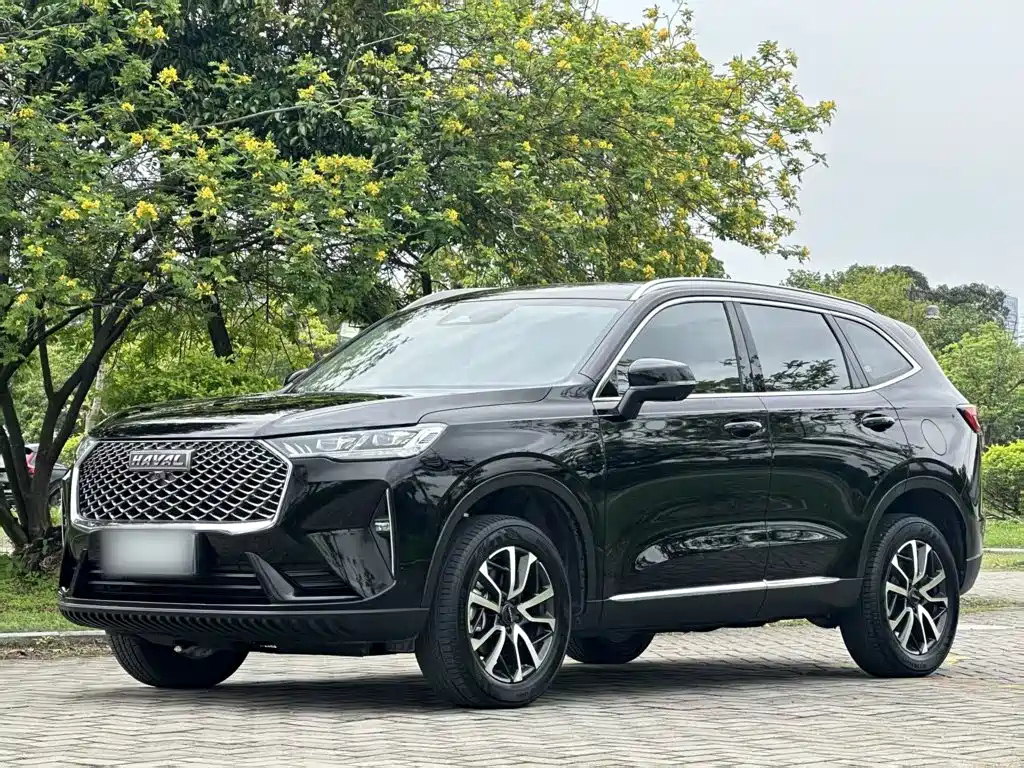 Haval H6 — миниатюра 2