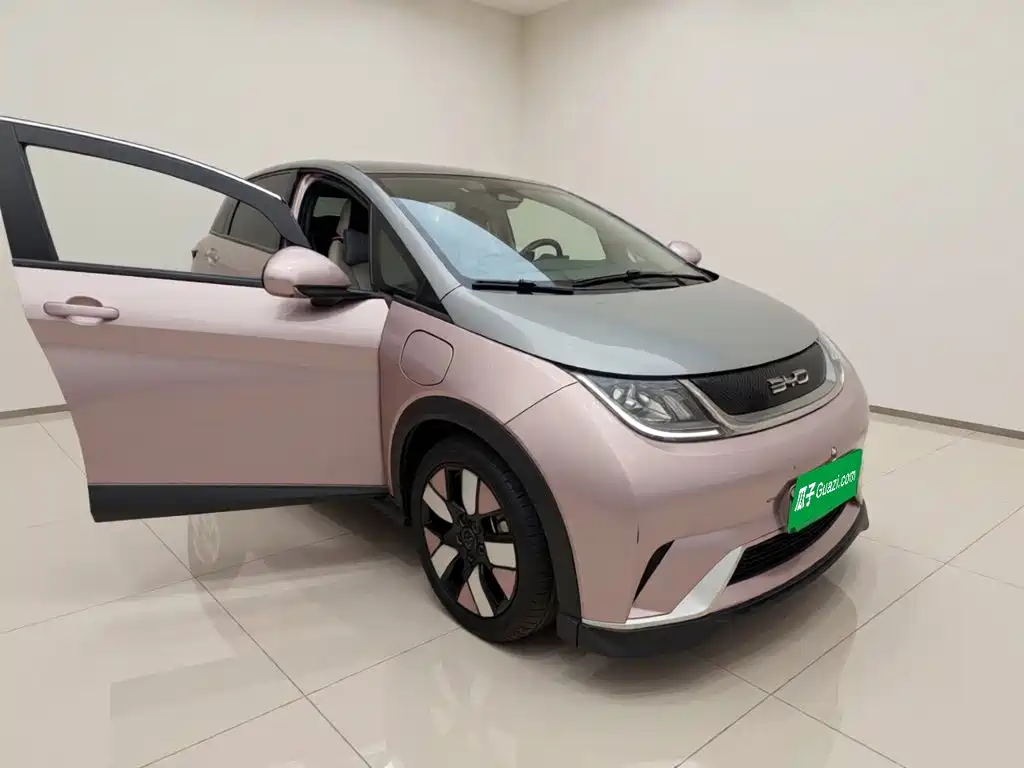 BYD Dolphin — миниатюра 3