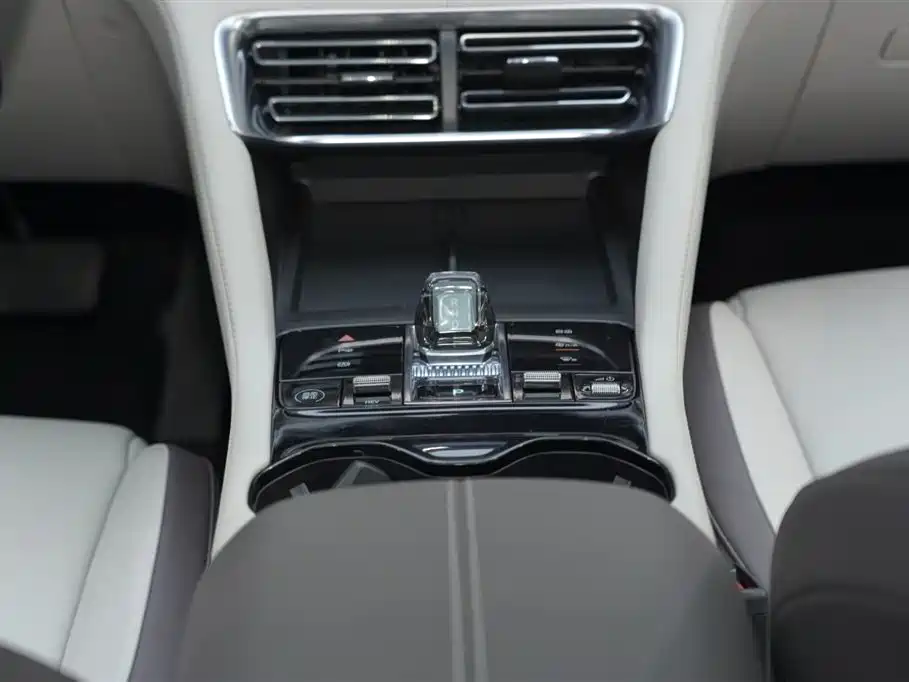 BYD SONGJIANG NEW ENERGY